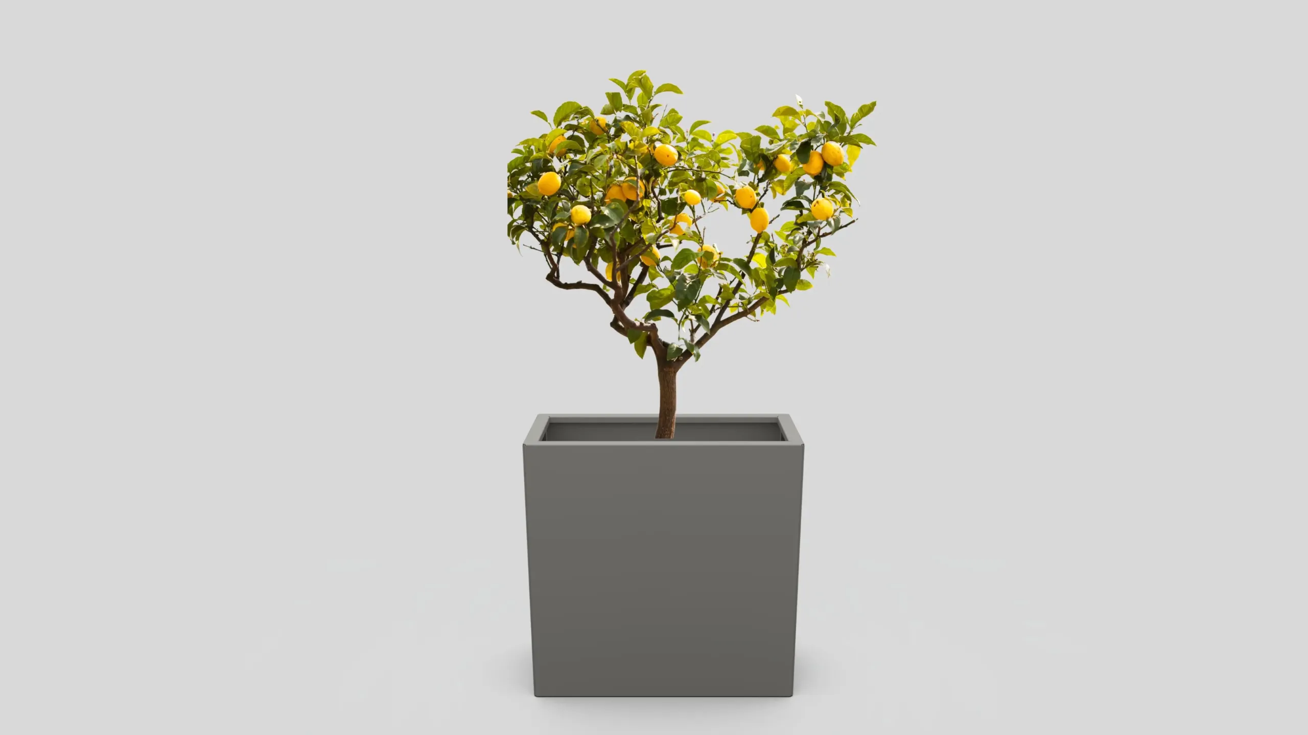 Moderno kovinsko korito za rože v RAL9007 barvi - dimenzije 60x80x30 cm.